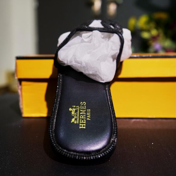 DSC08607 HERMES PARIS